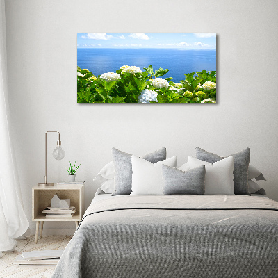 Foto obraz na plátně Květiny nad mořem
