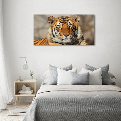 Foto obraz na plátně Bengálský tygr