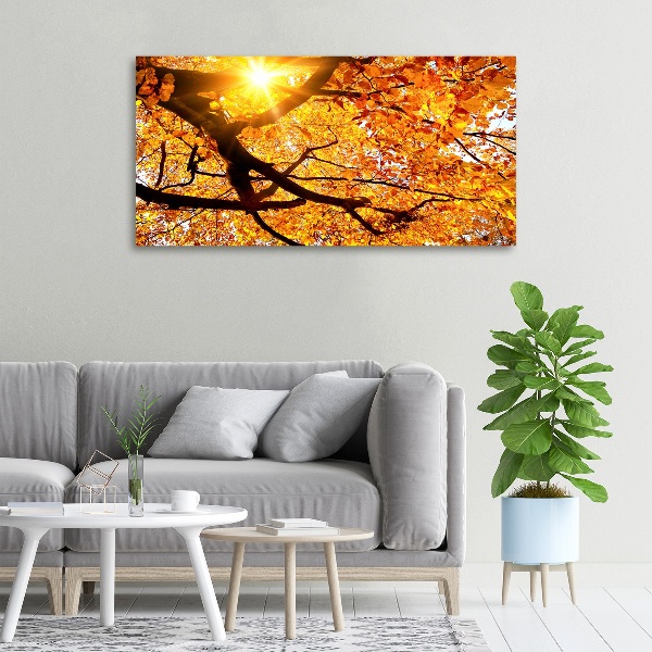 Moderní obraz canvas na rámu Koruna stromů podzim