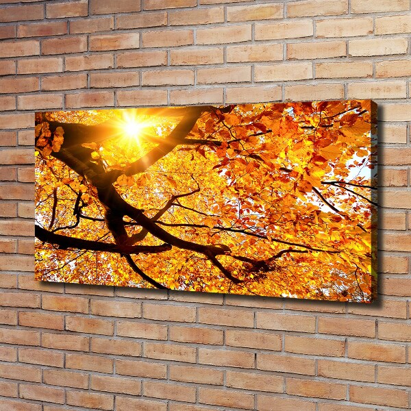 Moderní obraz canvas na rámu Koruna stromů podzim