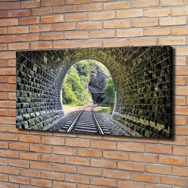 Foto obraz na plátně Železniční tunel