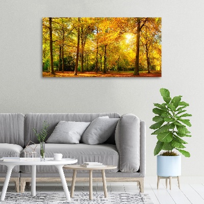 Foto obraz canvas Podzimní les
