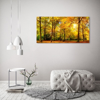 Foto obraz canvas Podzimní les