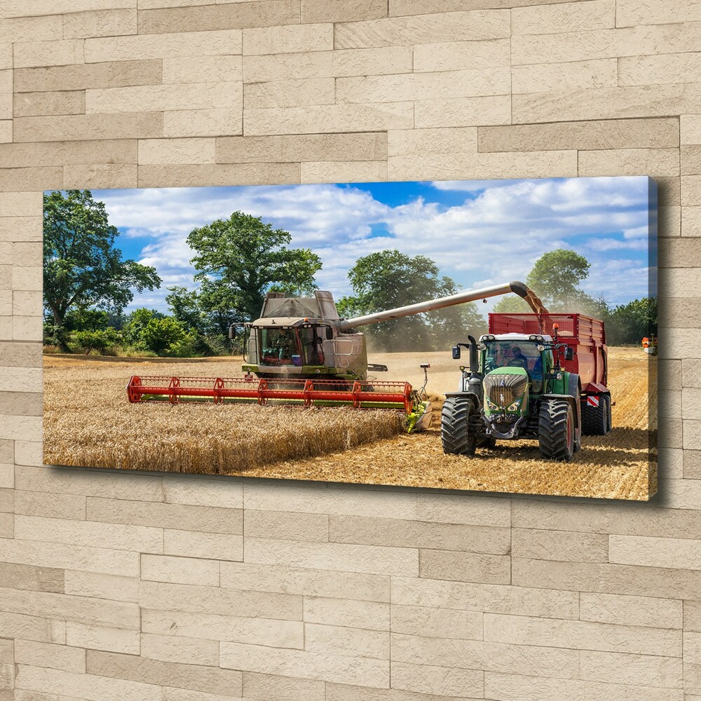 Foto obraz na plátně Kombajn a traktor