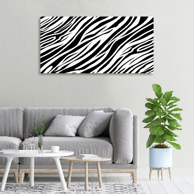 Foto obraz canvas Zebra pozadí