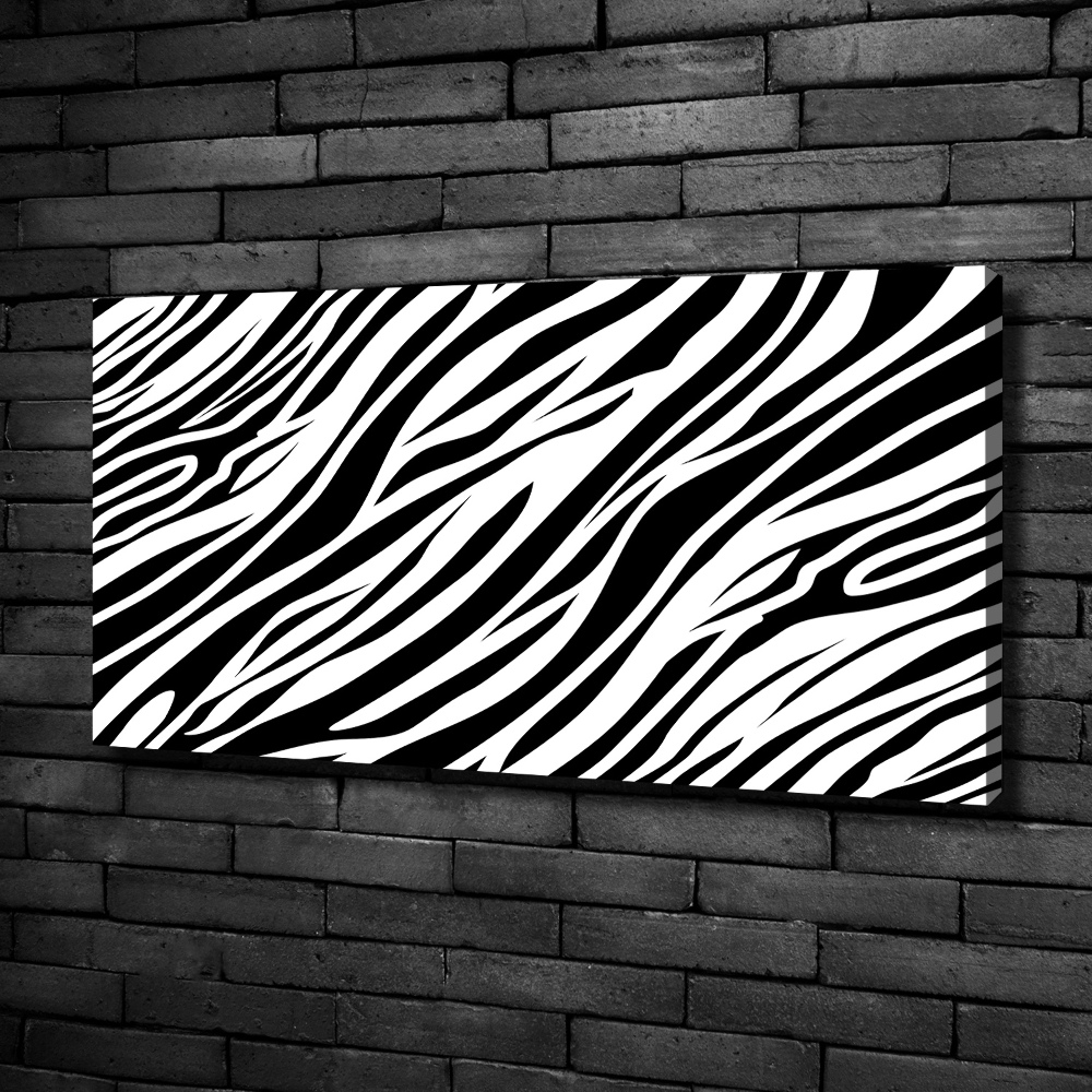 Foto obraz canvas Zebra pozadí