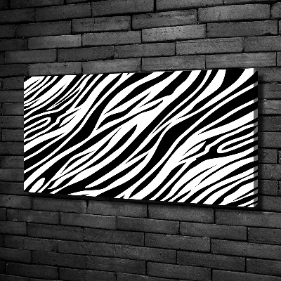 Foto obraz canvas Zebra pozadí