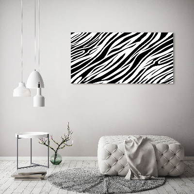 Foto obraz canvas Zebra pozadí