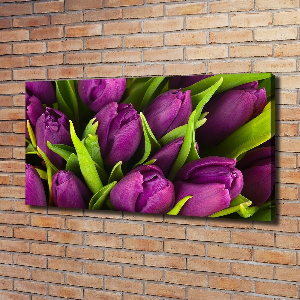 Foto obraz na plátně Fialové tulipány