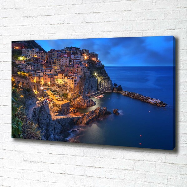 Foto obraz na plátně Manarola Itálie