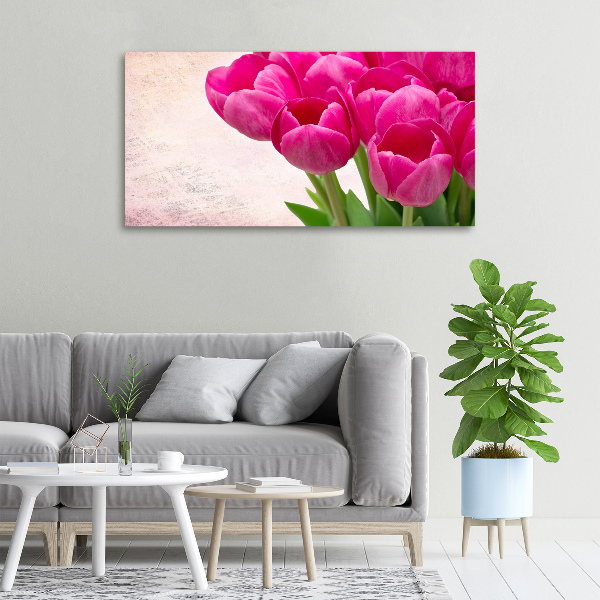 Moderní obraz canvas na rámu Růžové tulipány