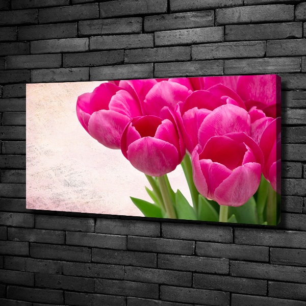 Moderní obraz canvas na rámu Růžové tulipány