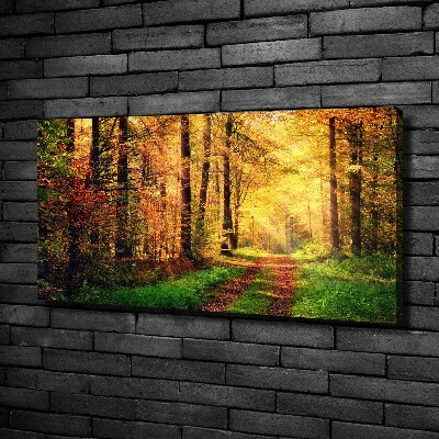 Foto obraz na plátně Podzimní les