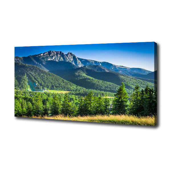 Moderní obraz canvas na rámu Skokanský můstek Tatry