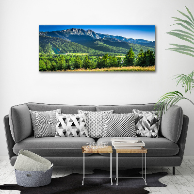 Moderní obraz canvas na rámu Skokanský můstek Tatry