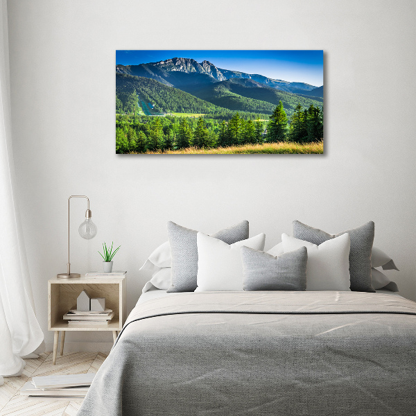 Moderní obraz canvas na rámu Skokanský můstek Tatry