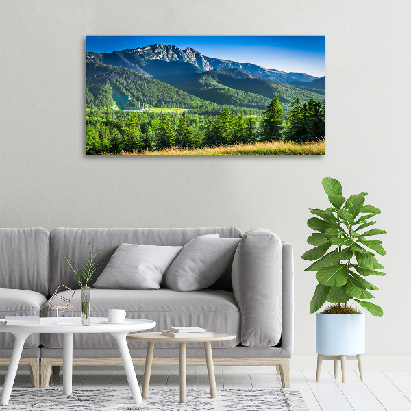 Moderní obraz canvas na rámu Skokanský můstek Tatry