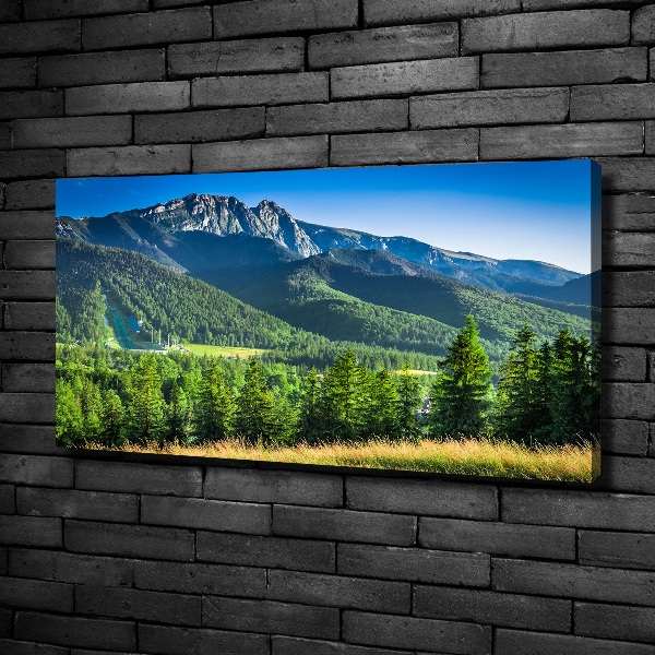 Moderní obraz canvas na rámu Skokanský můstek Tatry