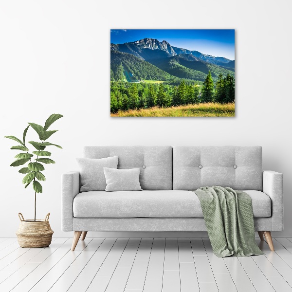 Moderní obraz canvas na rámu Skokanský můstek Tatry