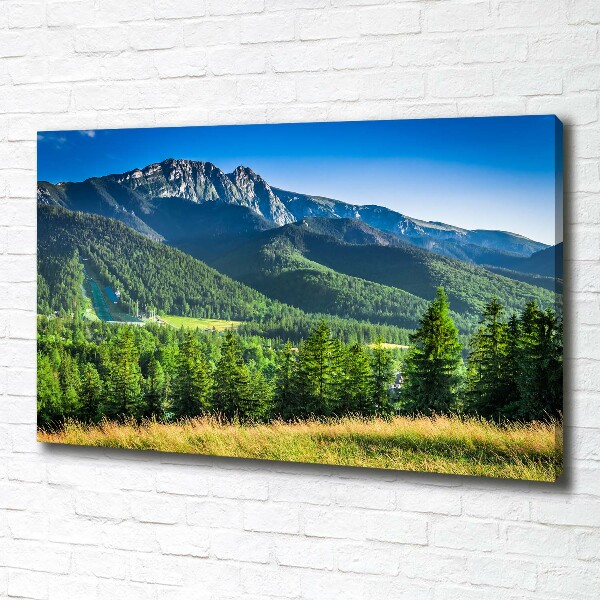 Moderní obraz canvas na rámu Skokanský můstek Tatry