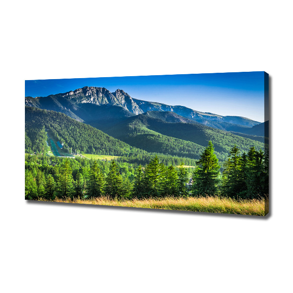 Moderní obraz canvas na rámu Skokanský můstek Tatry