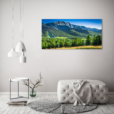 Moderní obraz canvas na rámu Skokanský můstek Tatry