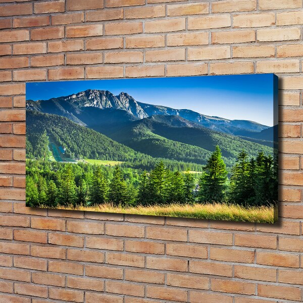 Moderní obraz canvas na rámu Skokanský můstek Tatry