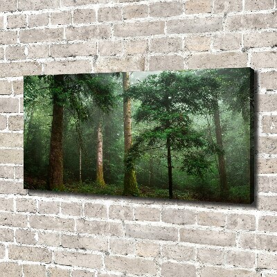 Foto obraz na plátně Mlha v lese