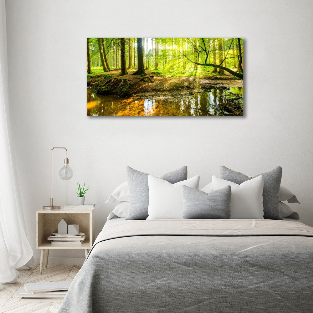 Foto obraz na plátně Rybník v lese