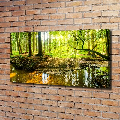 Foto obraz na plátně Rybník v lese