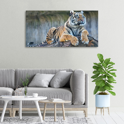 Foto obraz na plátně do obýváku Tygr