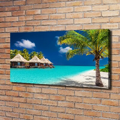 Foto obraz na plátně Maledivy bungalovy