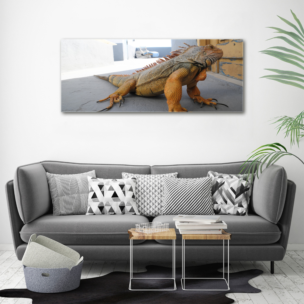 Foto obraz na plátně Iguana
