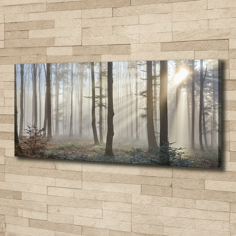 Foto obraz na plátně Mlha v lese