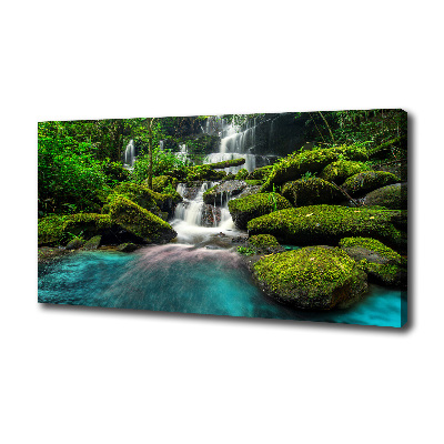 Foto obraz na plátně Vodopád v džungli