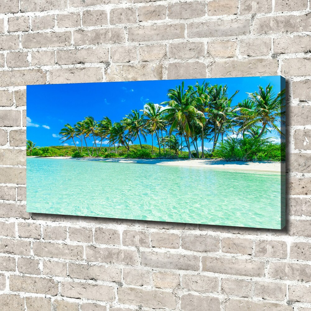 Foto obraz na plátně Tropická pláž
