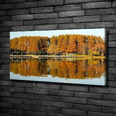 Foto obraz na plátně Les na jezerem