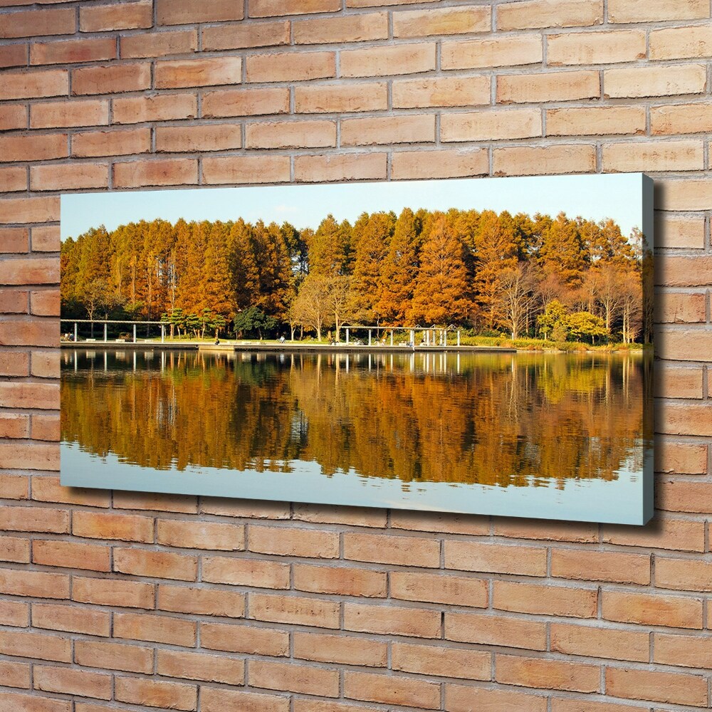 Foto obraz na plátně Les na jezerem