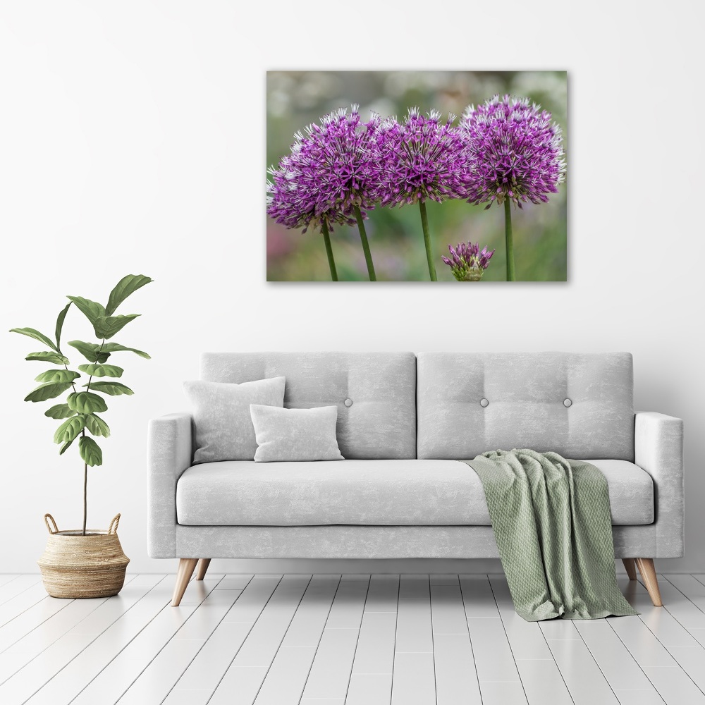 Foto obraz na plátně do obýváku Květ česneku
