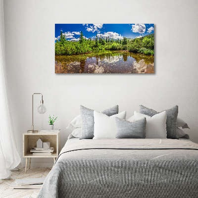 Foto obraz na plátně do obýváku Jezerov lese