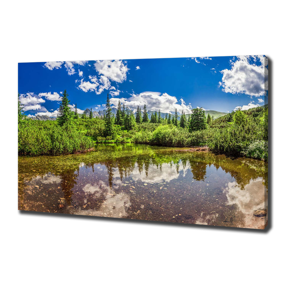 Foto obraz na plátně do obýváku Jezerov lese