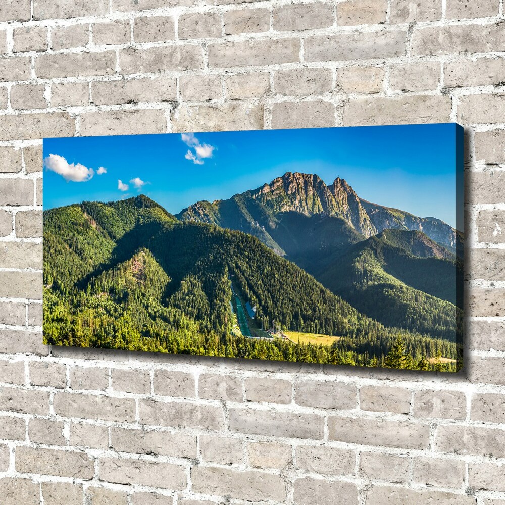 Foto obraz na plátně Panorama Tater