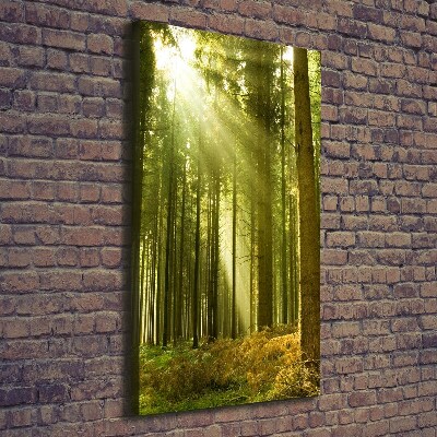 Vertikální Foto obraz na plátně Slunce v lese