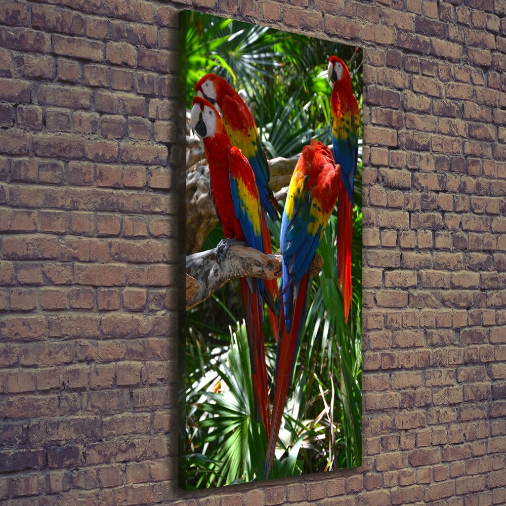 Vertikální Vertikální Foto obraz na plátně do obýváku Papoušci Ara
