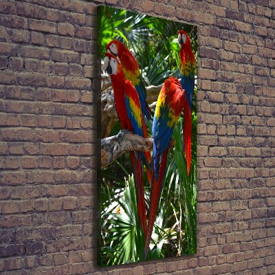 Vertikální Vertikální Foto obraz na plátně do obýváku Papoušci Ara