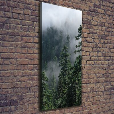 Vertikální Foto obraz na plátně Mlha nad lesem