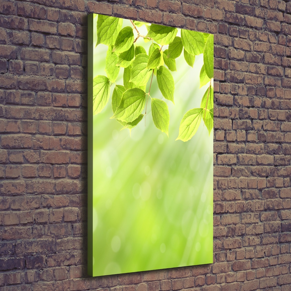 Vertikální Foto obraz na plátně Zelené listy
