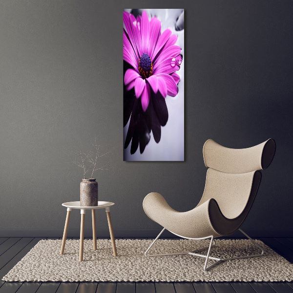 Foto-obraz canvas do obýváku Růžová gerbera