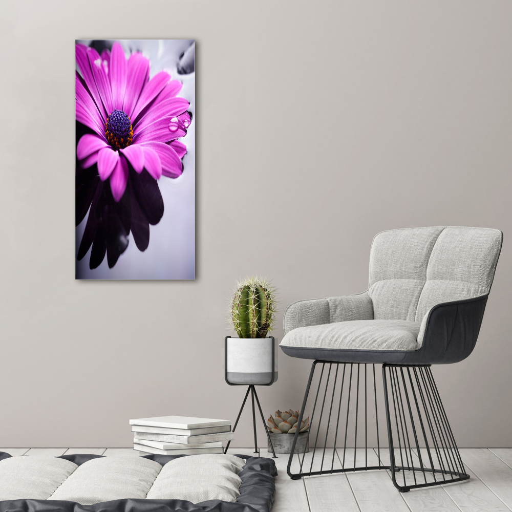 Foto-obraz canvas do obýváku Růžová gerbera