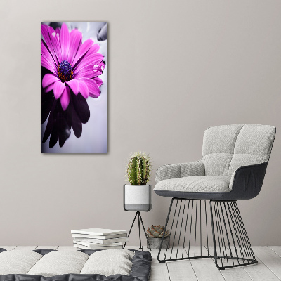 Foto-obraz canvas do obýváku Růžová gerbera